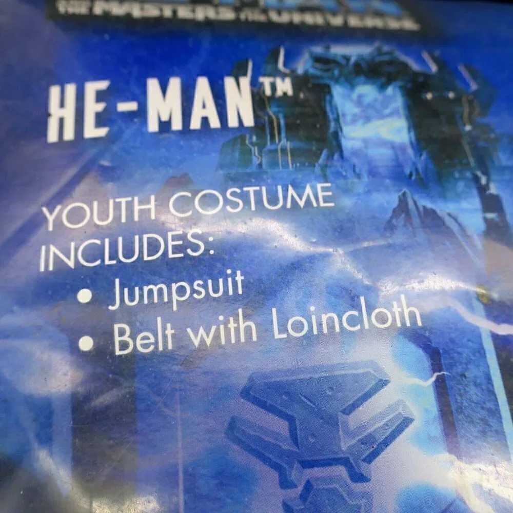 He-Man Masters of the Universe Netflix Halloween Costume Youth Boys Large 10/12